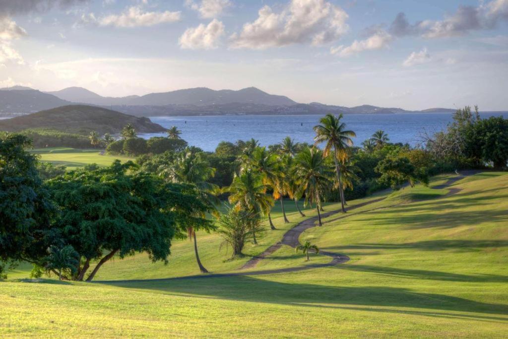 The Buccaneer Beach & Golf Resort Christiansted Zimmer foto